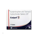 CALPOL T TAB 